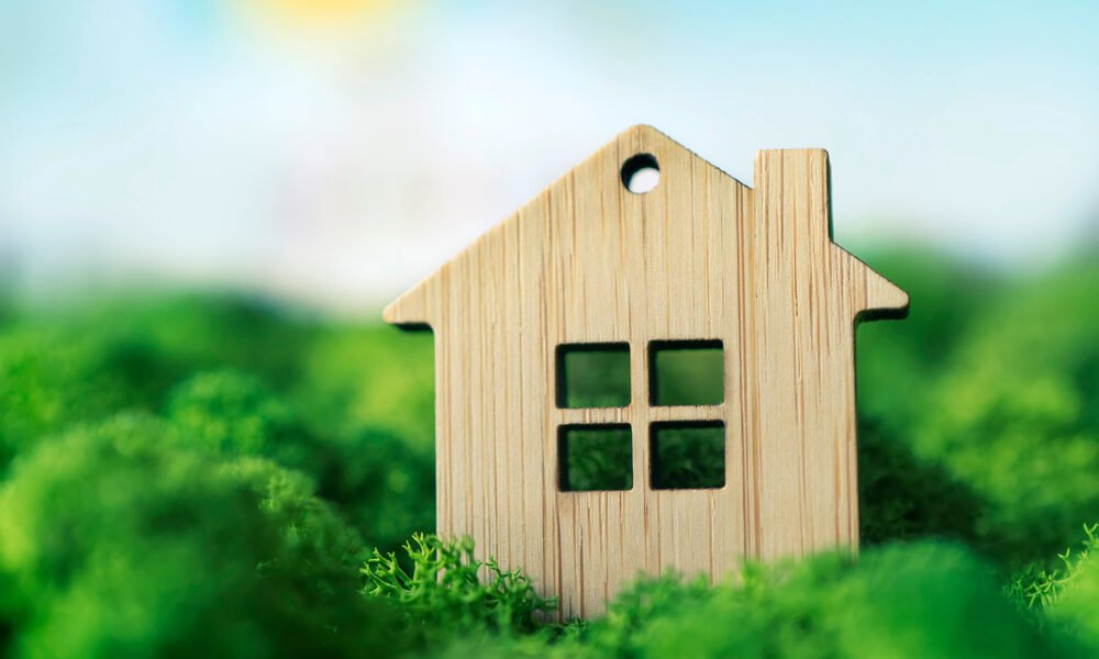 Eco-friendly Home Solutions