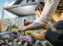 Outdoor Design Services